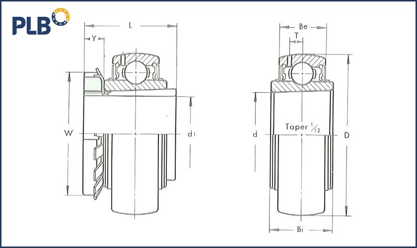 bac-dan-goi-uk-2