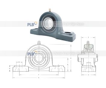 ukp-206-goi-do-asahi-4.jpg