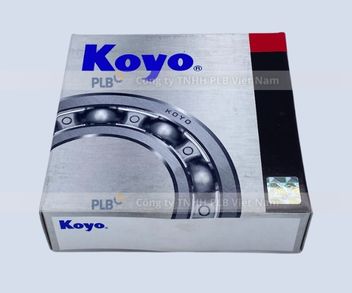 vong-bi-n307-koyo-3.jpg