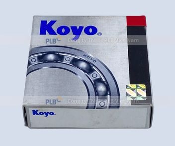 vong-bi-nf206-koyo-3.jpg