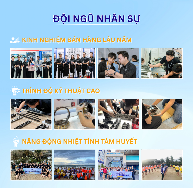 doi ngu nhan su plb viet nam.webp